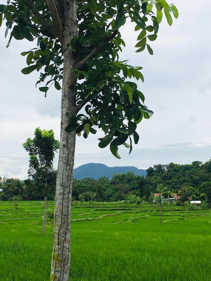 Tommy Homestay Plambi 外观 照片