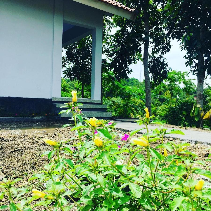 Tommy Homestay Plambi 外观 照片