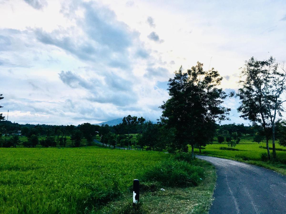 Tommy Homestay Plambi 外观 照片
