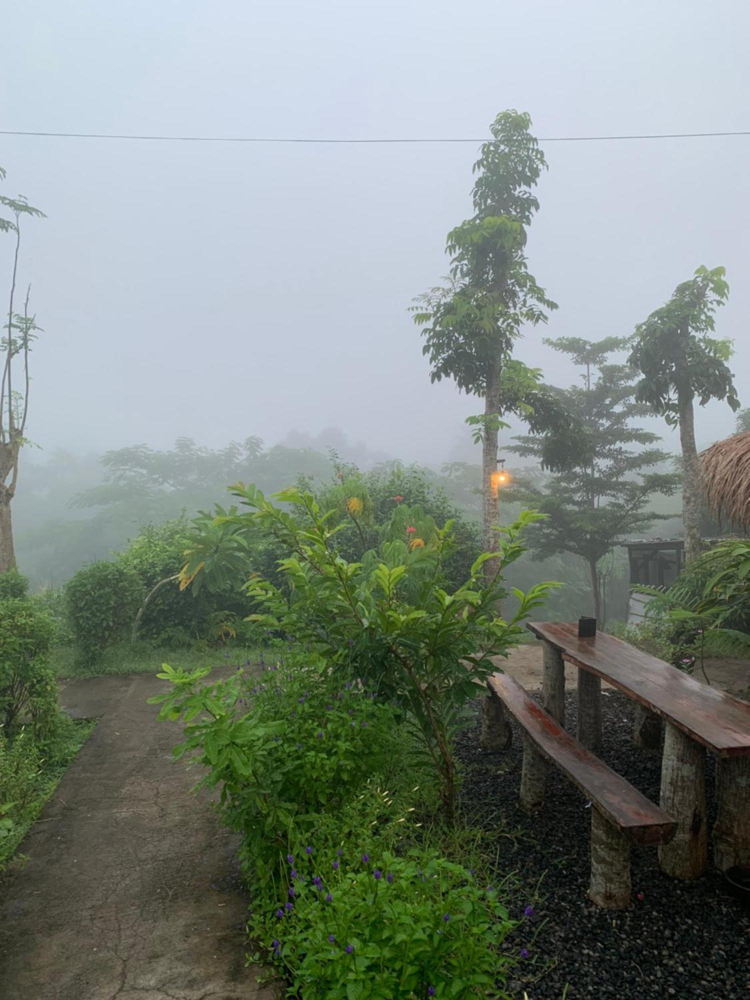 Tommy Homestay Plambi 外观 照片